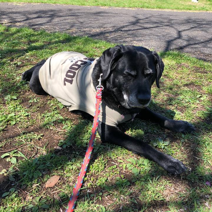 Dbaf90d2 ed3e 46a1 a5e1 f69b1b14d60f 1616464939724