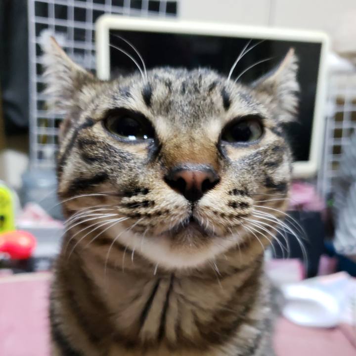 Dbaf985c 24d7 4b57 a287 3ab244da9b04 1545479099730