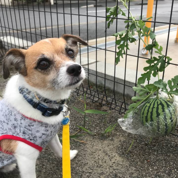 Dbaf9e82 b69a 4d76 8daf c5537470e29d 1536105339955