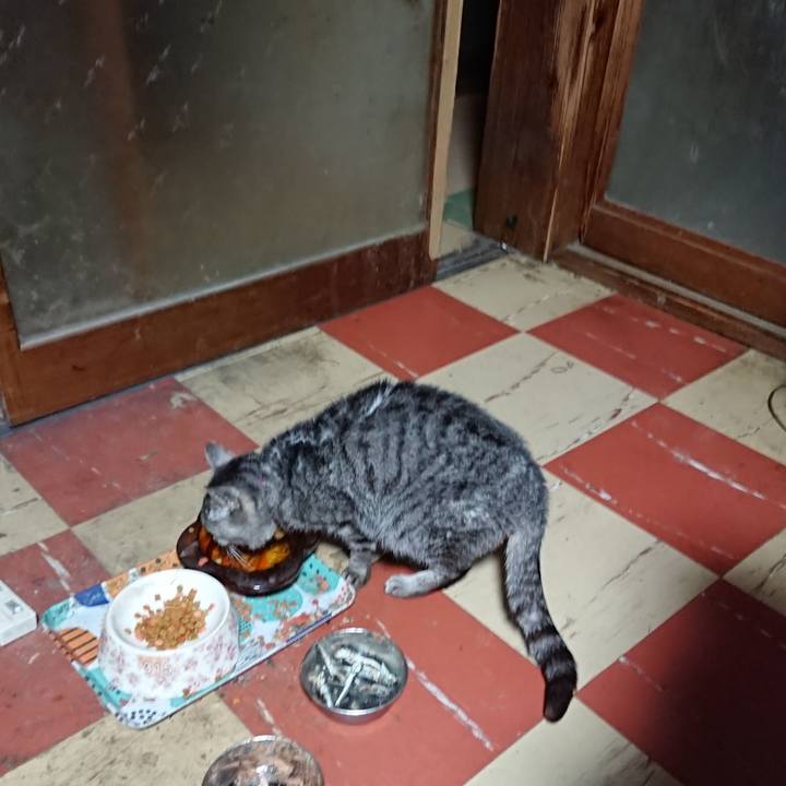 Dbafe0e6 f0d4 4054 ae9e f7126a33b1d5 1584476242549