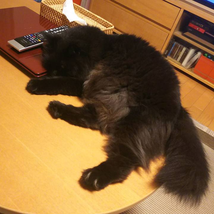 Dbaff365 6d76 434f 97cf 2967fa447b66 1531303000354