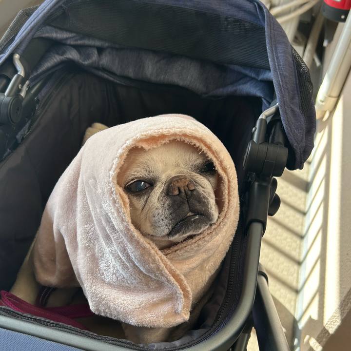 Dbb03d04 c669 4357 a07e b2e028f78ebd 1735119860412