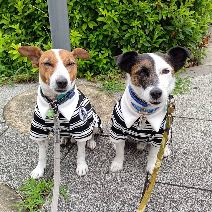 Dbb0658e c8dd 4424 835b dc6e118d61bb 1686785608916