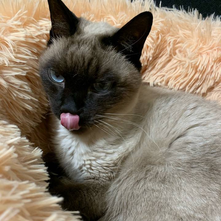 Dbb08f5f aa03 4efe b554 27dfdb799fee 1610754248901