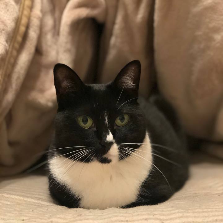 Dbb0acde 9ef0 4f90 95a8 57e0724d70c4 1573681874588