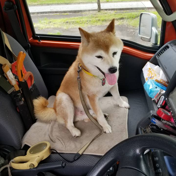 Dbb0b4af 61e2 477e 88a7 8b4138df2fc3 1688787812080