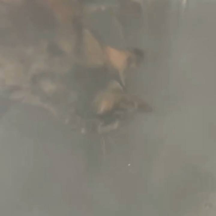 Dbb120bb fbd7 4cdb 9e45 7a303d10c448 1766781496236