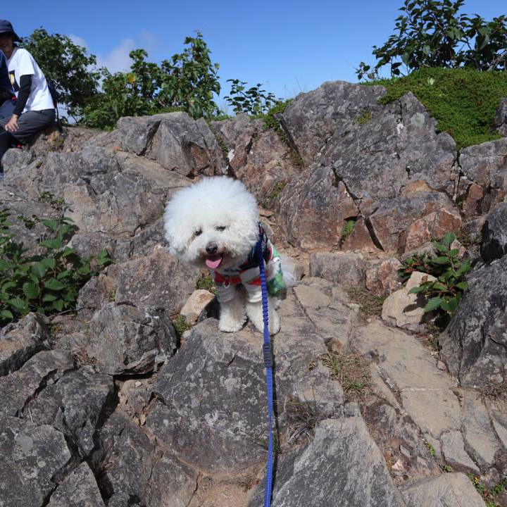 Dbb12f3b 57d9 48d8 9385 254808bad866 1599173754377