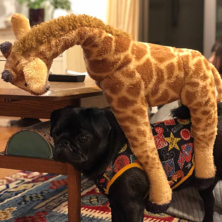 Dbb13272 8af5 4095 8148 5bedb8288861 1622419382483