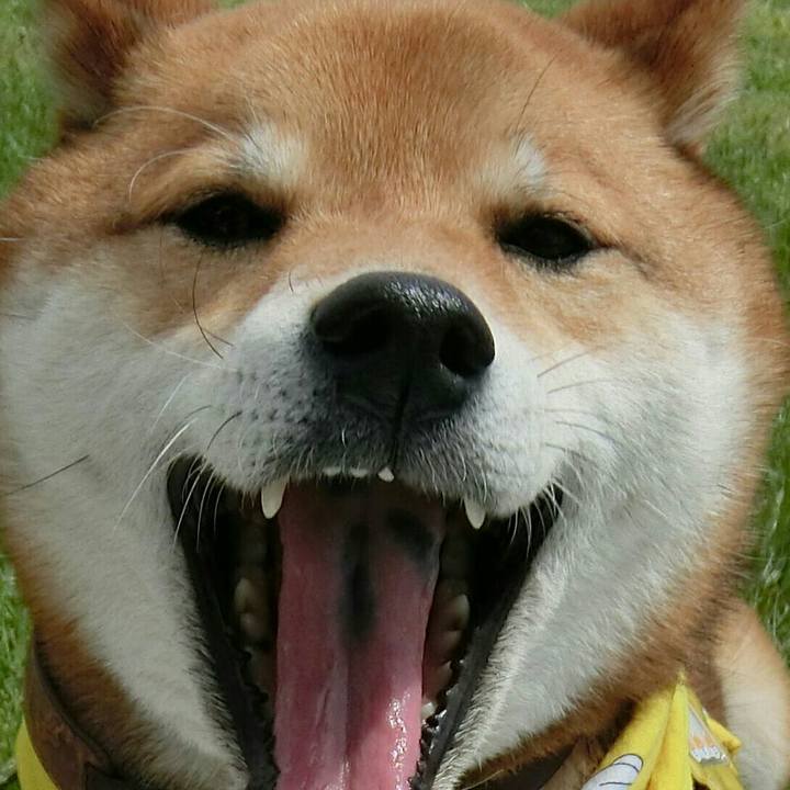 Dbb1527e 1060 4f3a 87e8 23f2d421da46 1523362022177