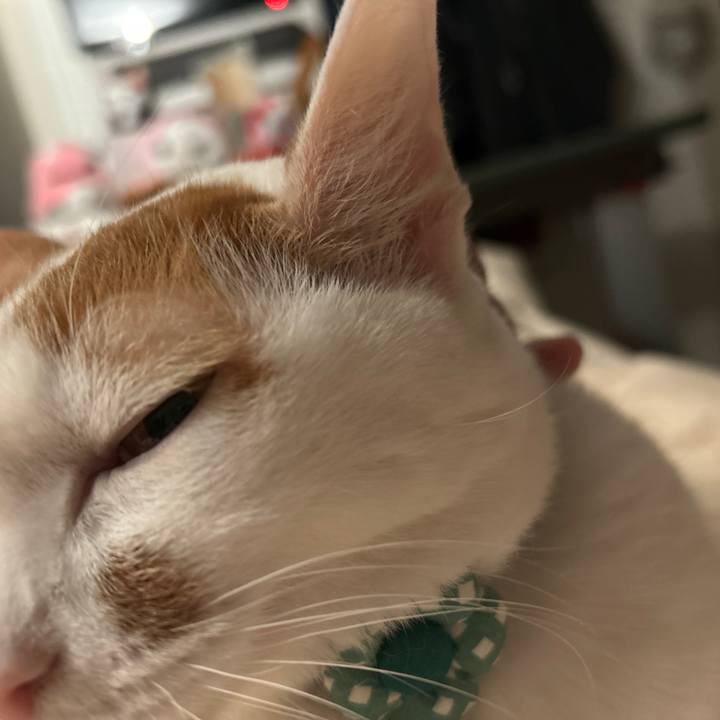 Dbb18036 df97 48f4 8124 332e4500698a 1765848899388