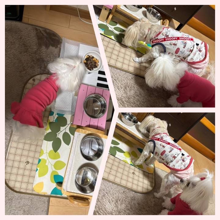 Dbb193f0 b14b 4297 823b 74e96e9c38a2 1763454316473