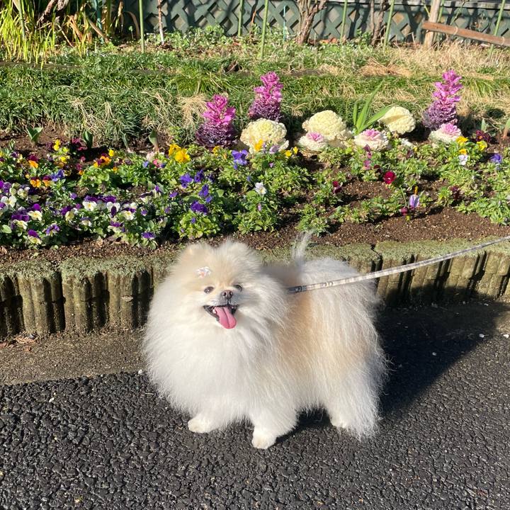 Dbb1b4c9 1073 4efb 8b8f bd94d1a62560 1647644459197