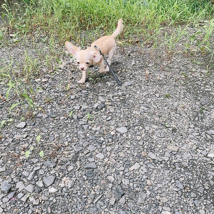 Dbb1e3bd 8ca8 47c8 ad05 6731652d9eaf 1596086462095