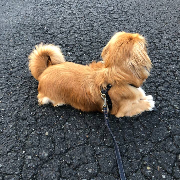 Dbb1fe88 aad4 49c3 a242 a8198b94cdab 1526250743565