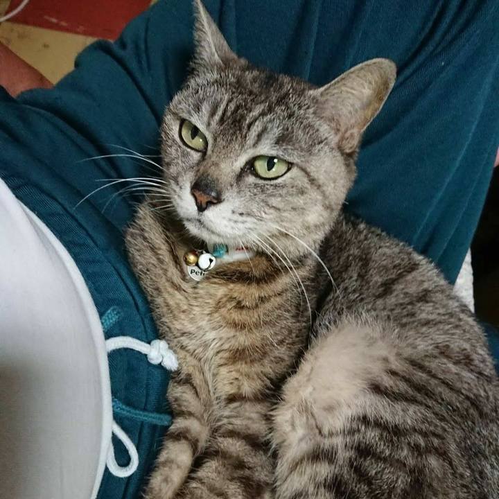 Dbb21551 9ace 4aca 8271 ebe53e0a69a0 1561029597996