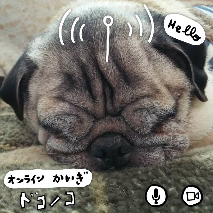 Dbb23519 85bb 4d17 9134 0bd66c5f04b5 1590725773224