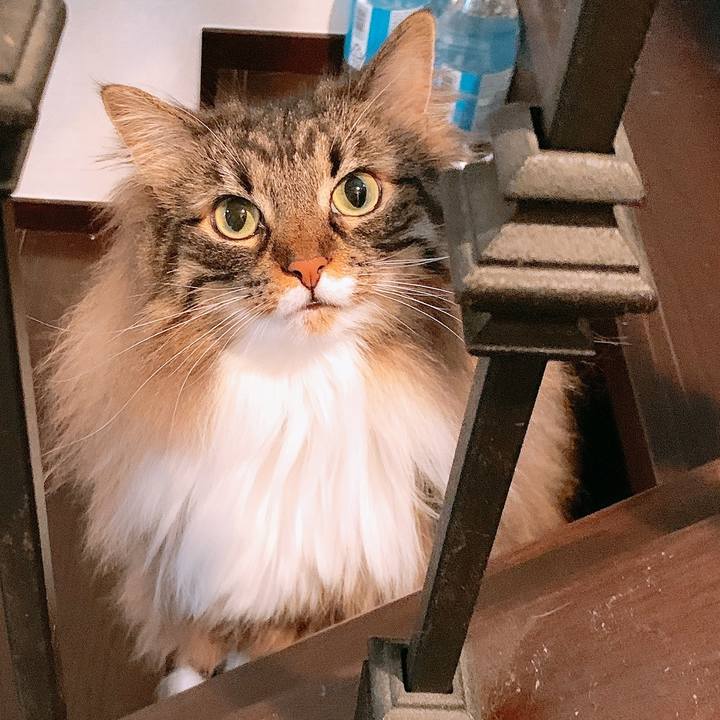 Dbb2526e 1415 43f5 bd8c 70d3641eb8de 1601470340120