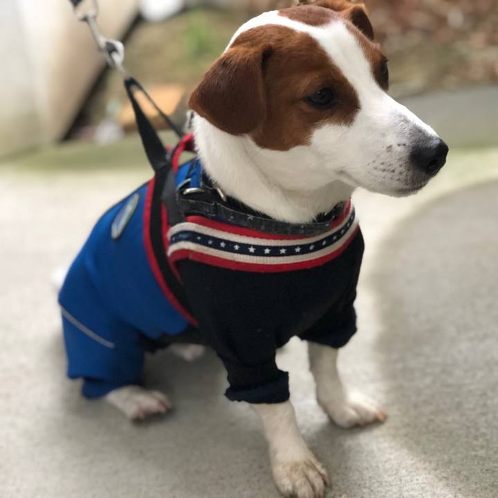 Dbb25cdd 960f 4484 a3da cffd6e0d78af 1552199144649