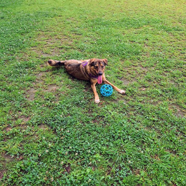 Dbb26815 1e49 49e2 afcf f9544a310745 1720829617257