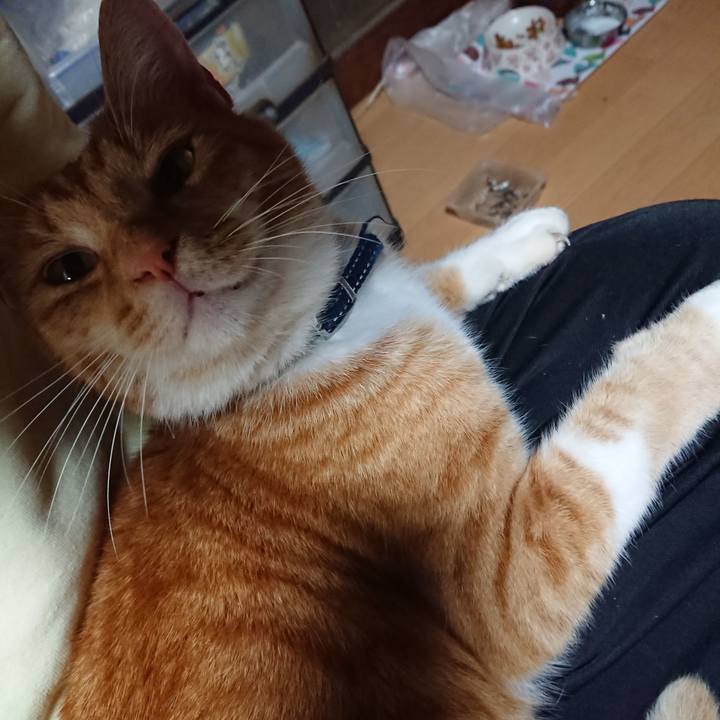 Dbb26f6b 43bc 44bd afe1 8a55c92b35f0 1602288143016