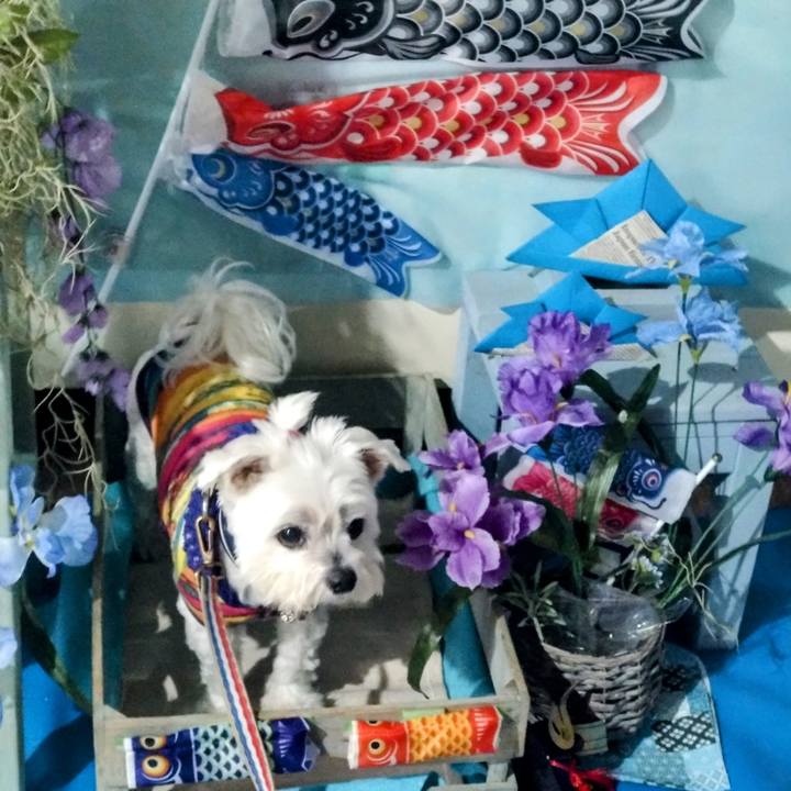 Dbb274f8 3e80 4d36 a923 63e8c4f97d70 1714997008147