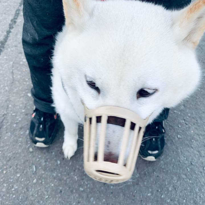 Dbb27655 04b0 4cca 84a1 9b4a973b7fb9 1651785249555