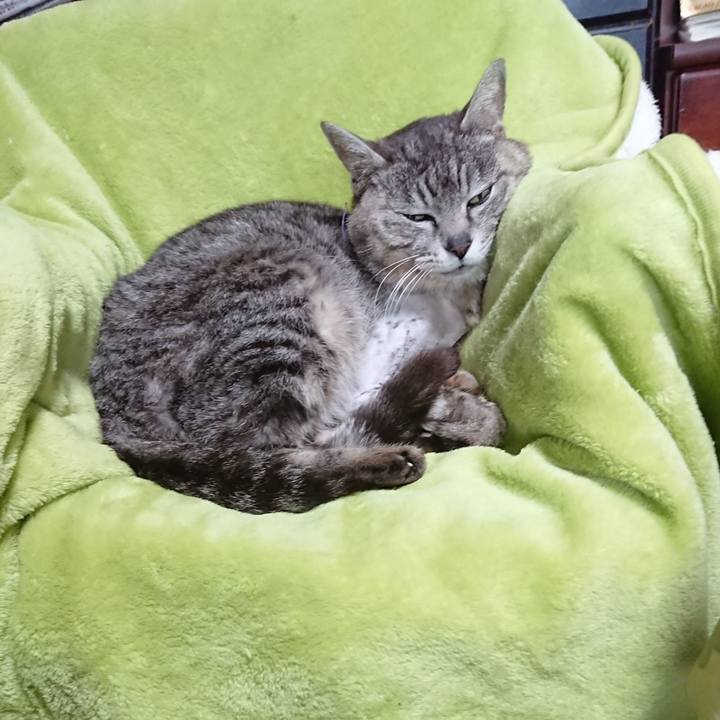 Dbb2d107 38fc 401e be2d fdc73e521adf 1588633266961