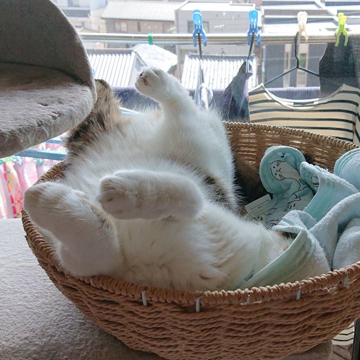 Dbb2edb9 8fd0 4db7 af72 5cd484e5652e 1570247540334