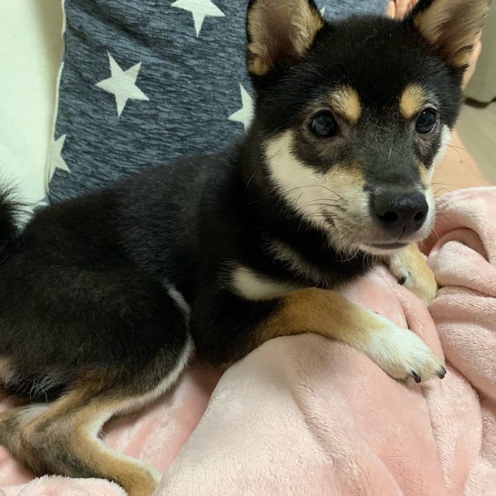 Dbb314ef 026a 446b ad25 557a67d508e7 1563535470319