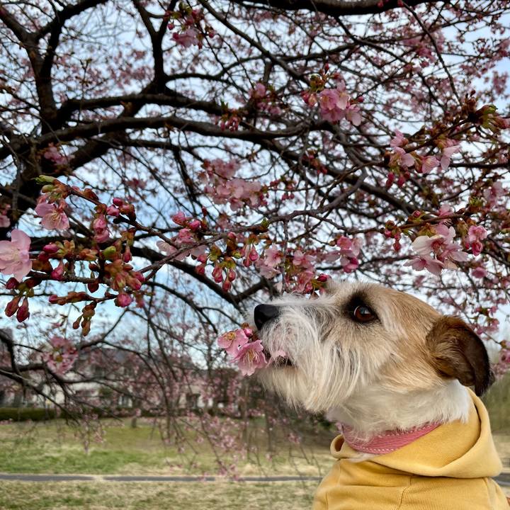 Dbb32093 f169 4873 8662 b9a52fc7a2ef 1677934783775