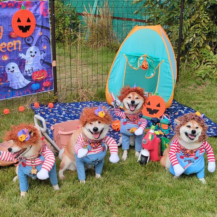 Dbb337d8 3c33 4d38 871e 70f1bee42813 1730456755100