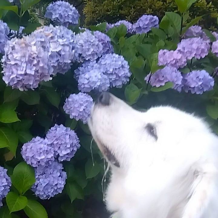 Dbb33b81 03ab 4cde 8473 9deb2d354e78 1687173213147