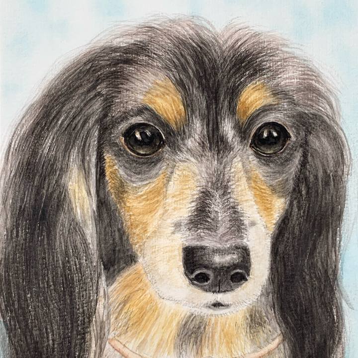 Dbb34180 54bf 40a1 8a34 fd61047d0924 1687827818880