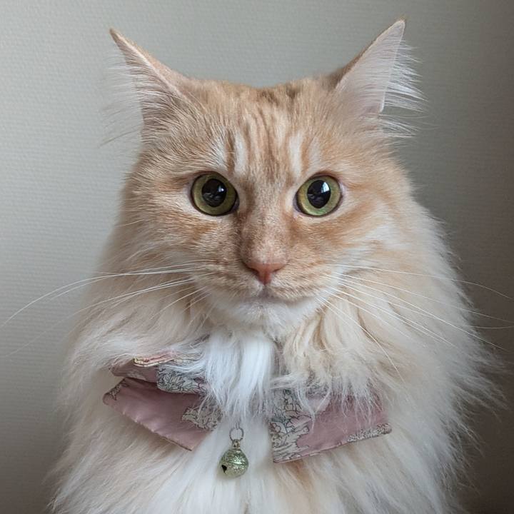 Dbb34dd6 fa66 49ee 89da 010558f2e70c 1744337853093