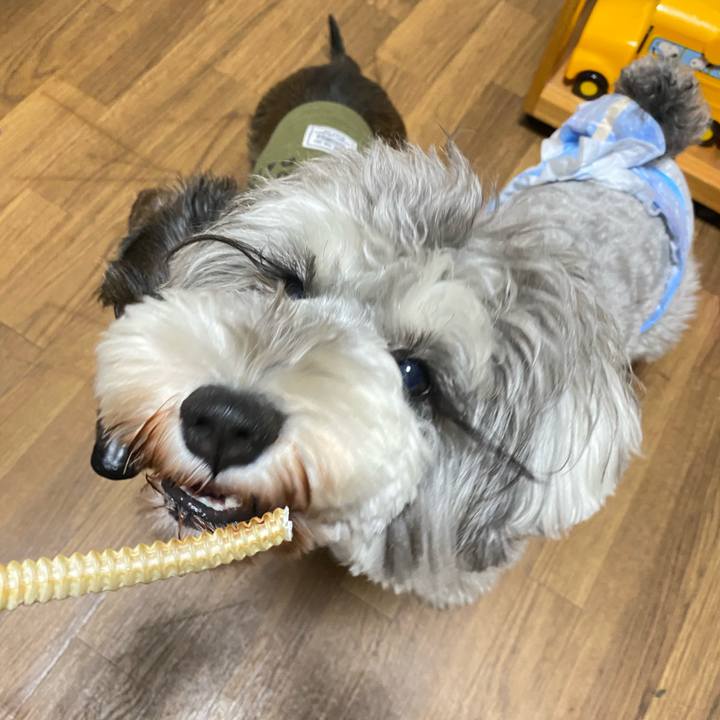 Dbb34e3a 074a 41af aa2a 8849e0d23a77 1613205554601