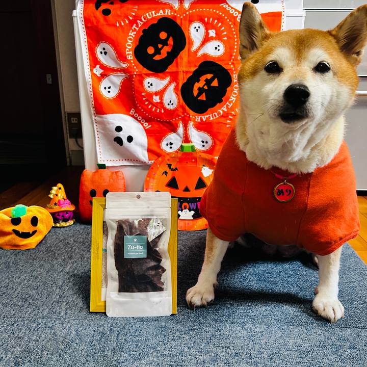 Dbb3c191 a33a 417a 860e 5cf8c23c6926 1729227938741