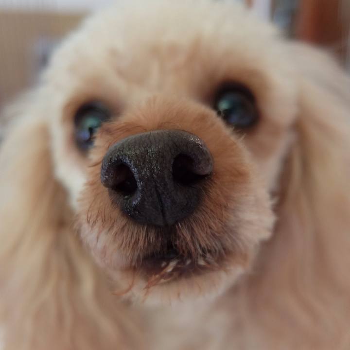 Dbb3dc1a fce5 4794 b99a 139c155a6fae 1523752963225