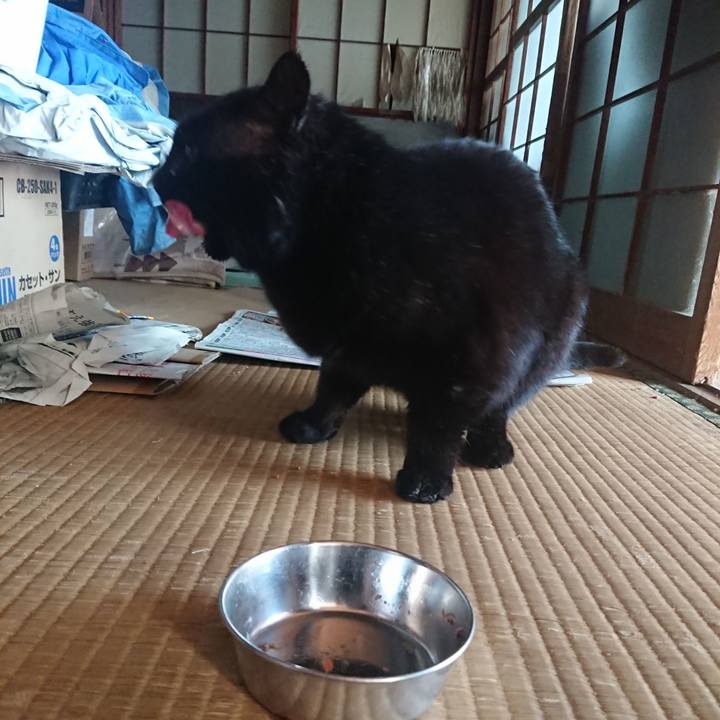 Dbb3e0fe 612c 4558 bf37 835ca2f26e02 1614502116137