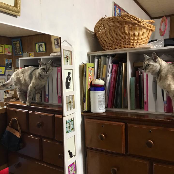 Dbb3e163 fb08 48e0 9bd9 92326017a98e 1620303331147