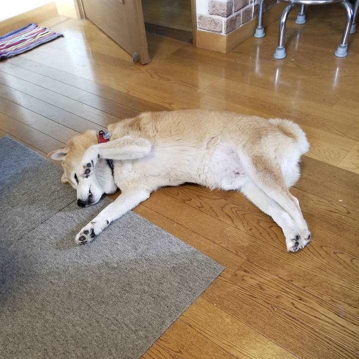 Dbb401f8 aa49 4fb1 a9e3 51d91d2bfeb4 1734225096893