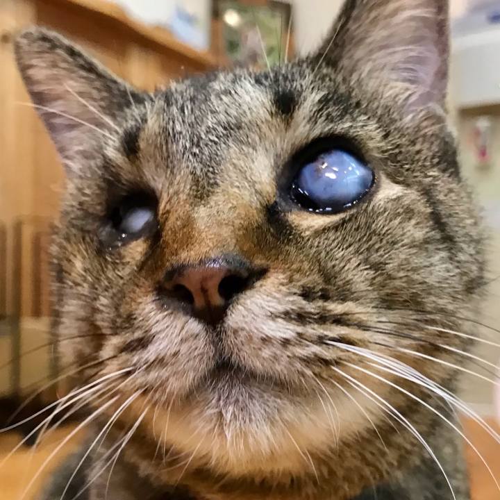 Dbb4058b fd79 4cba a710 e16617cbe14d 1629423369132