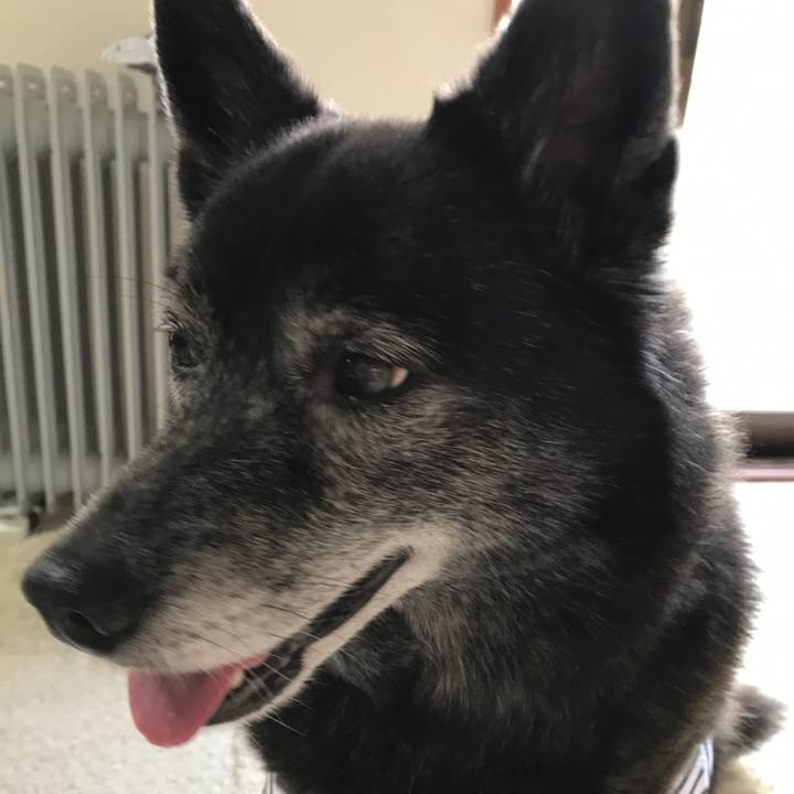 Dbb428ea 13be 4a54 8501 2c3485366f9b 1558444862591