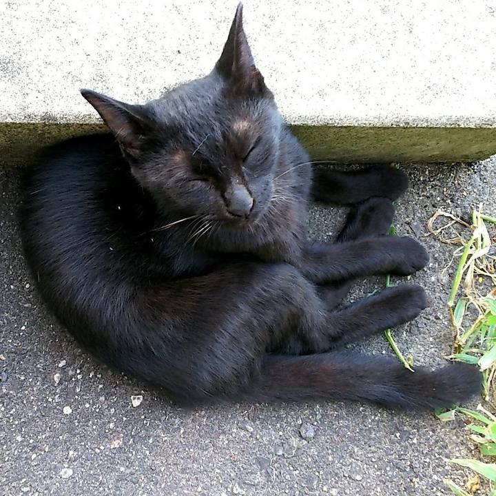 Dbb43bbc 5507 49f8 9d98 ee56eebba792 1535534126580