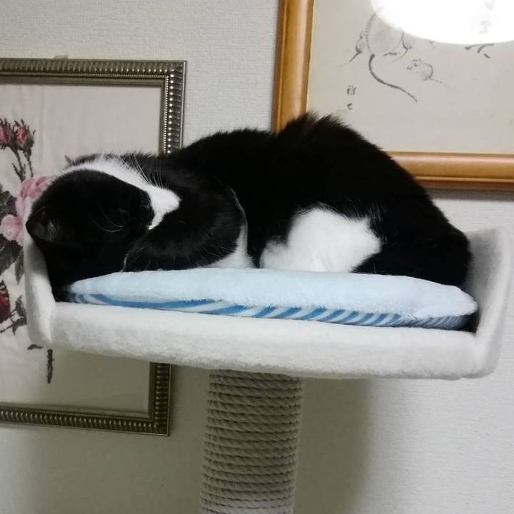 Dbb44442 3745 4155 8610 96f78ad2629f 1554812398638