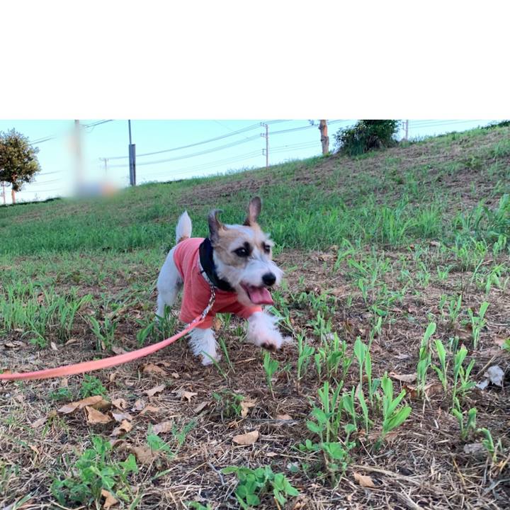 Dbb4455f f143 4342 aced 47cdc21a8eac 1598607616879