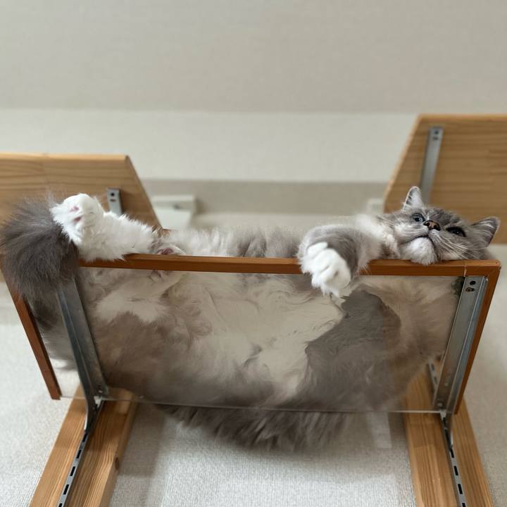 Dbb4477b 0ef6 4900 9118 a445c129bfb2 1666422010108