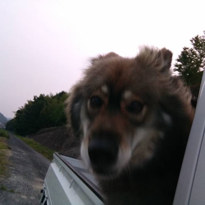 Dbb46fec 246d 46a8 9084 f3d8014a70f9 1656469137660