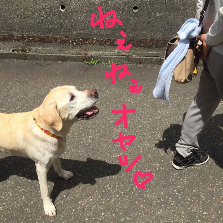 Dbb47585 b377 4596 8504 2062826ff8ad 1553694330817