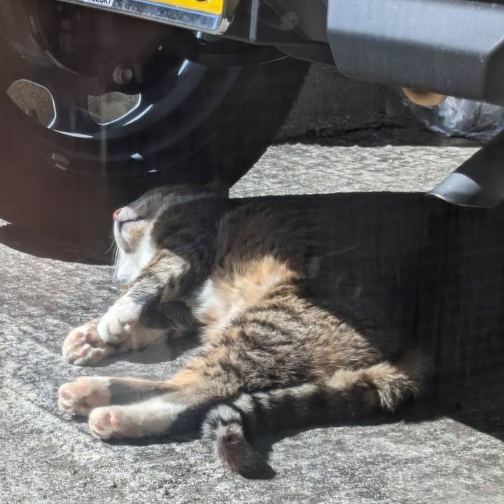 Dbb4a30c 725c 4c6e 94fc cb56b86b702a 1677726993043